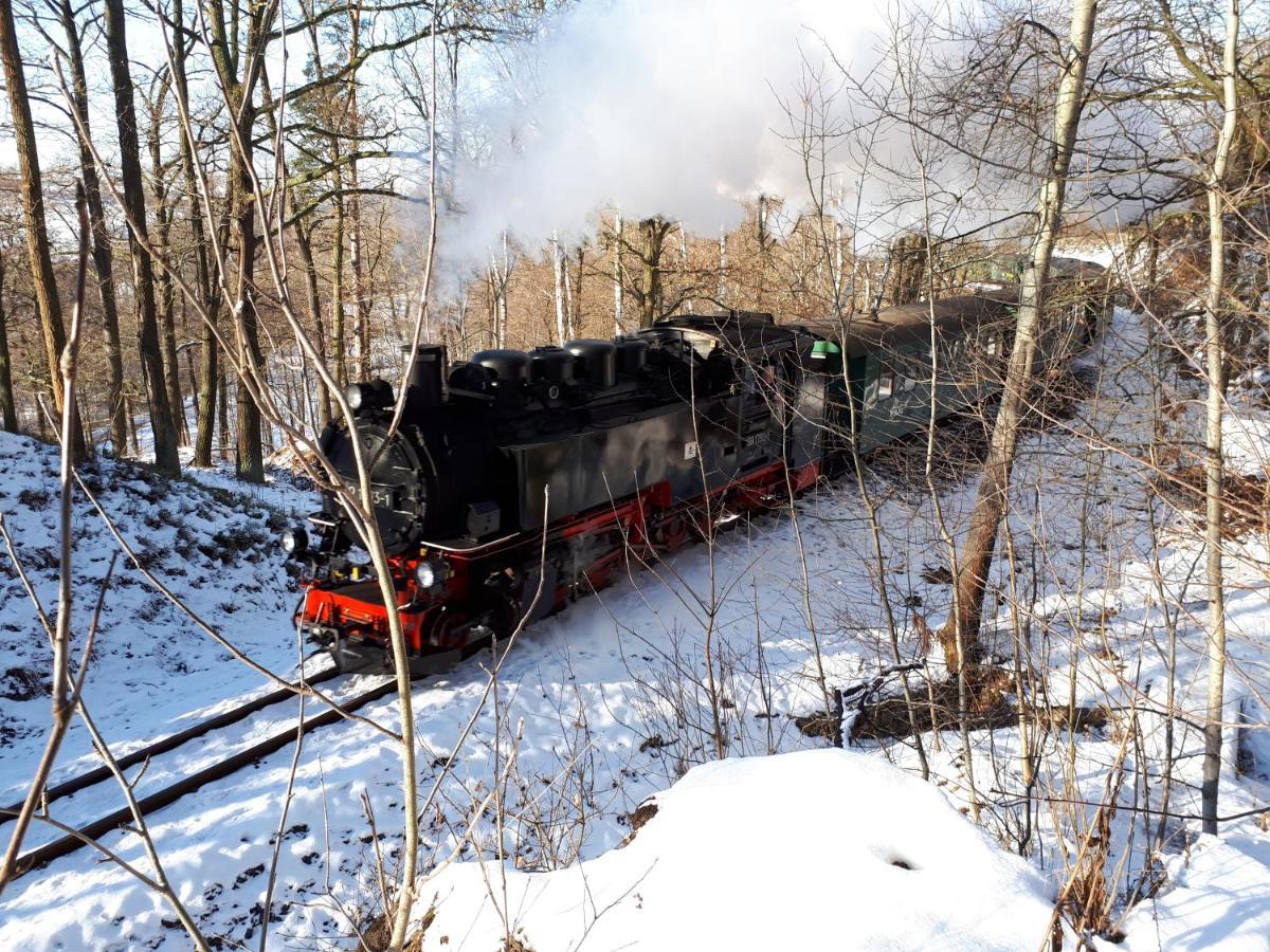 ****Fewo "Alltag...Ade'" Dippoldiswalde Exterior foto